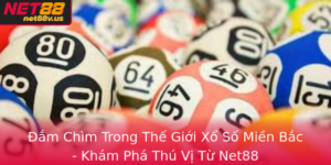 Am Chim Trong The Gioi Xo So Mien Bac Kham Pha Thu Vi Tu Net88