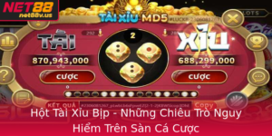 Hot Tai Xiu Bip Nhung Chieu Tro Nguy Hiem Tren San Ca Cuoc