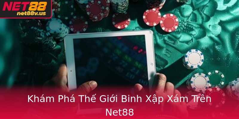 Khám Phá Thế Giới Binh Xập Xám Trên Net88